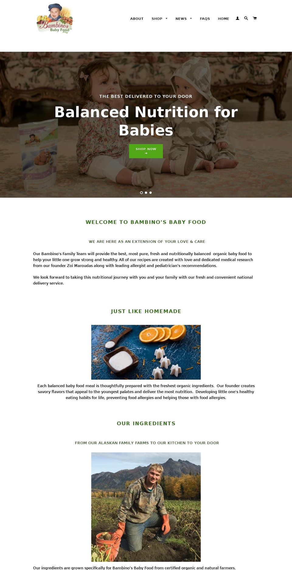 Copy of Brooklyn - Bold dev 5\/24\/16 Shopify theme site example zoifood4life.com