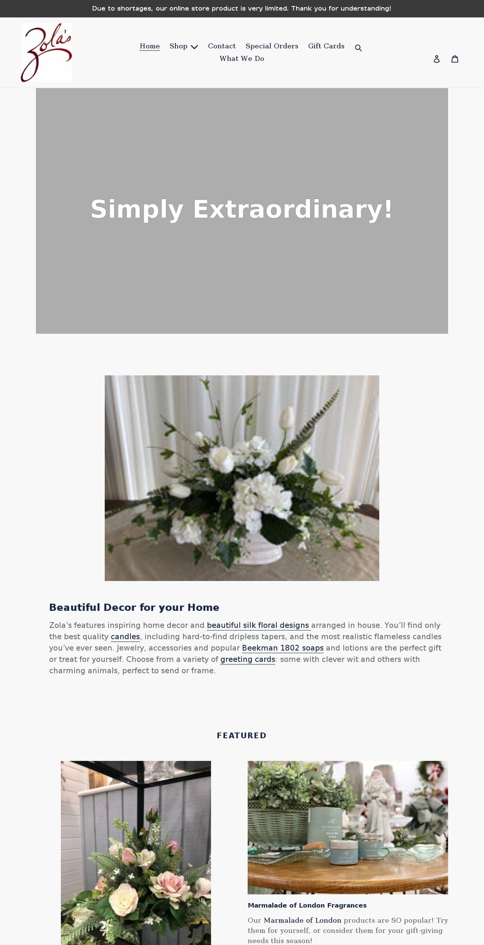 zolasonline.com shopify website screenshot