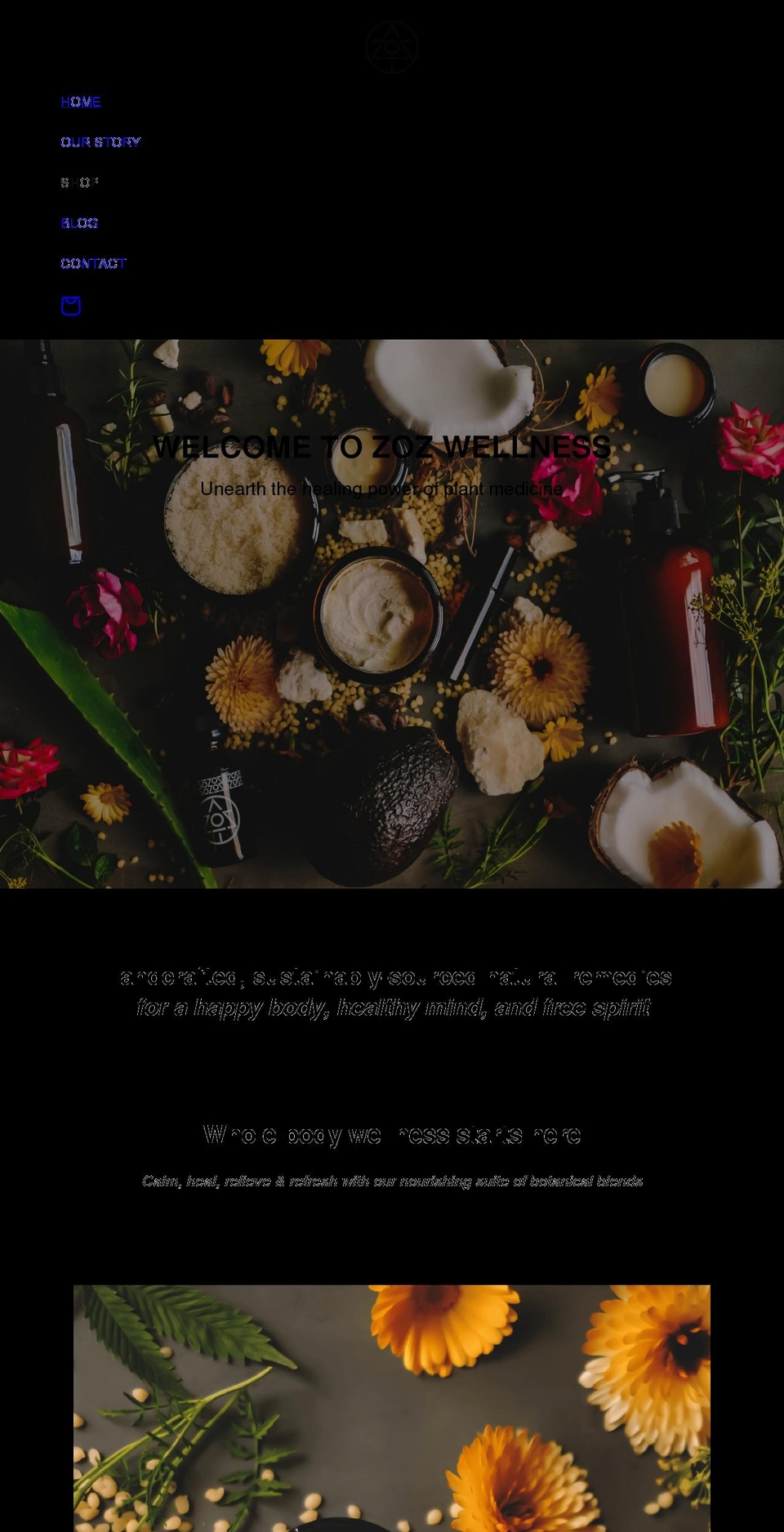 zozwellness.com shopify website screenshot