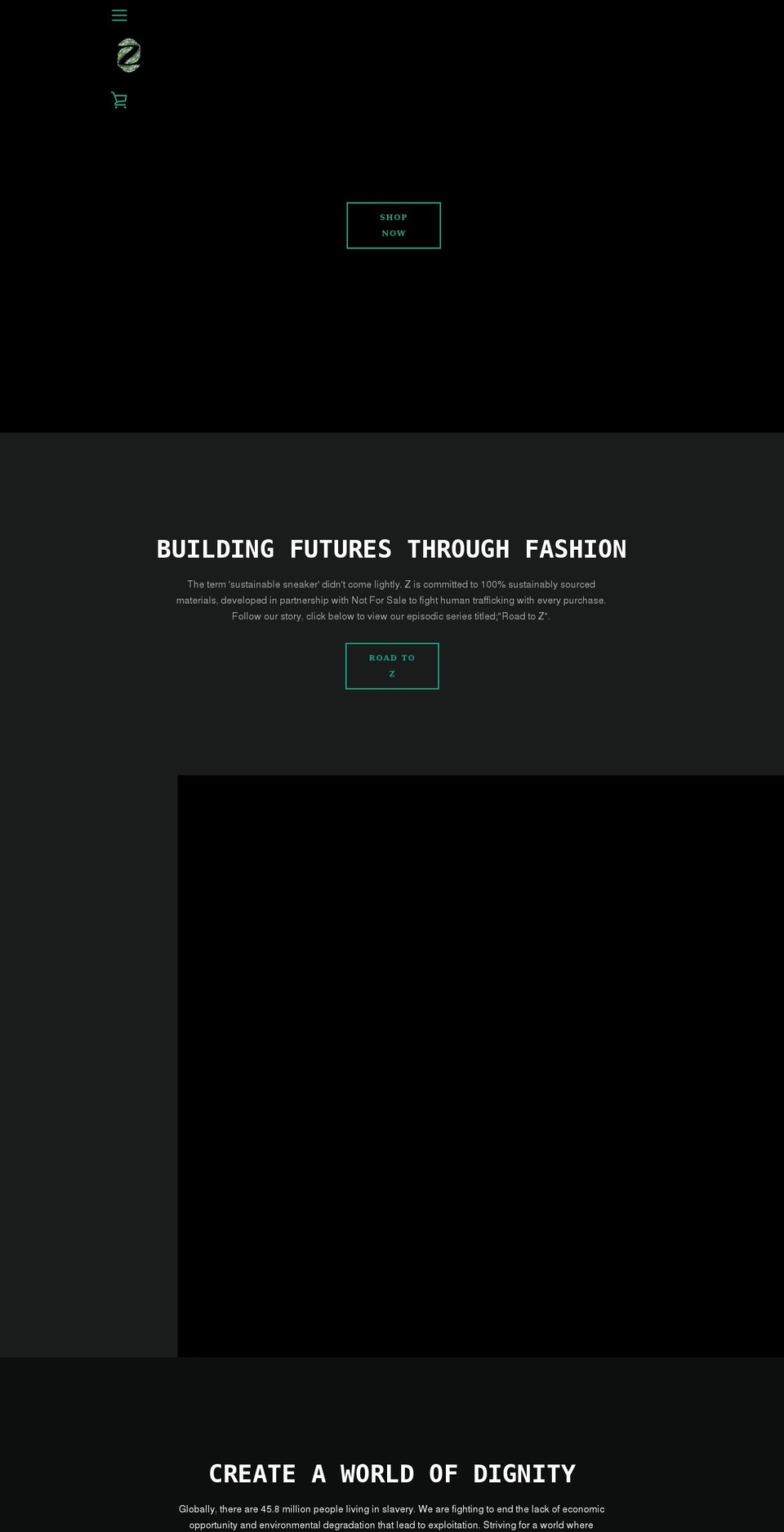 zshoesorganics.com — Shopify storefront screenshot