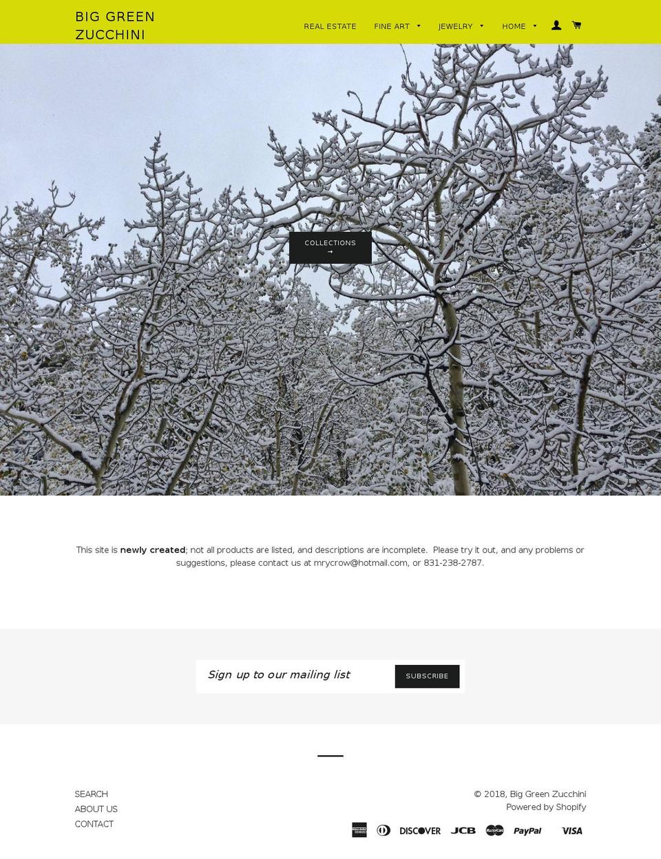zucchiniart.com — Shopify storefront screenshot