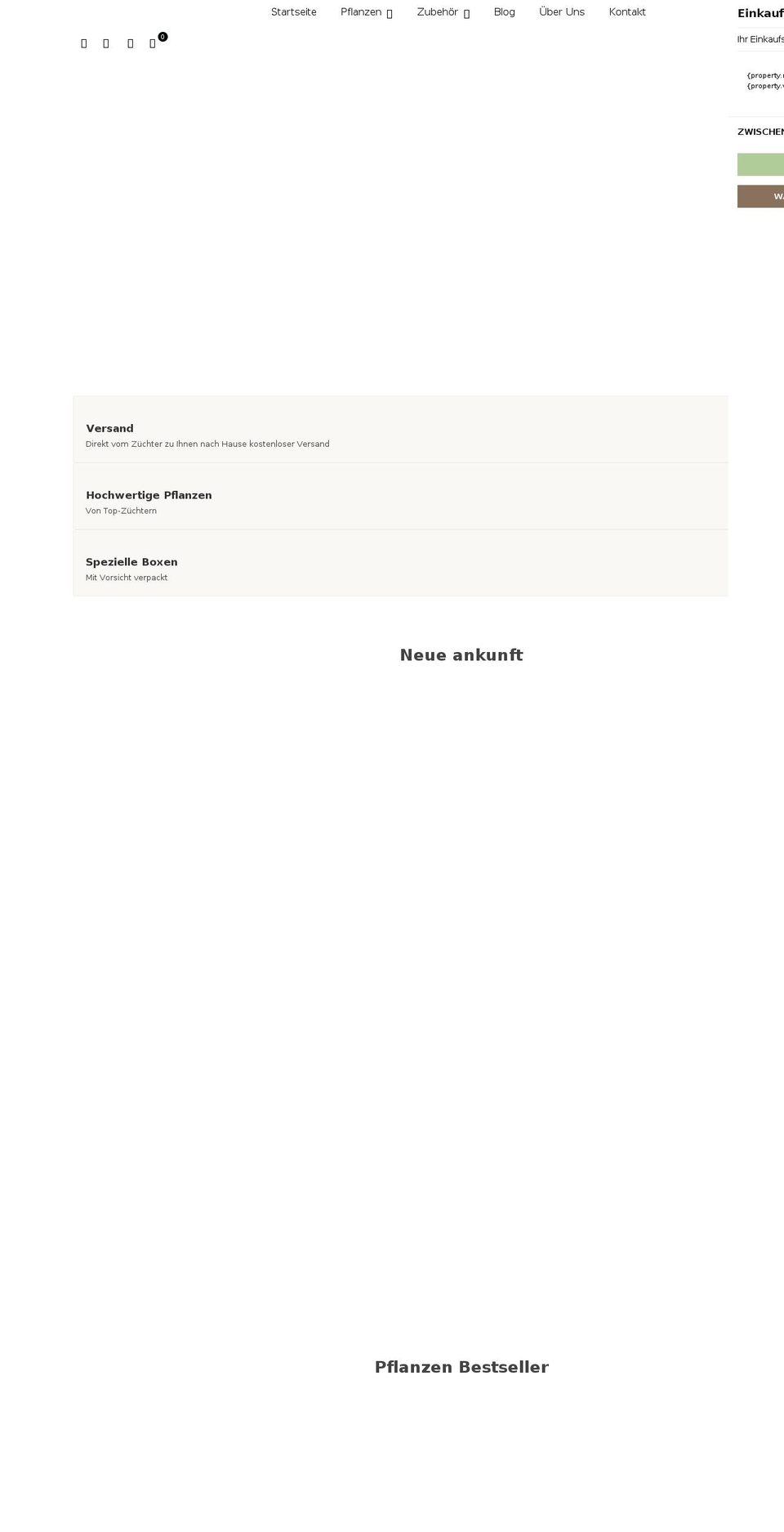 zutoma.com shopify website screenshot