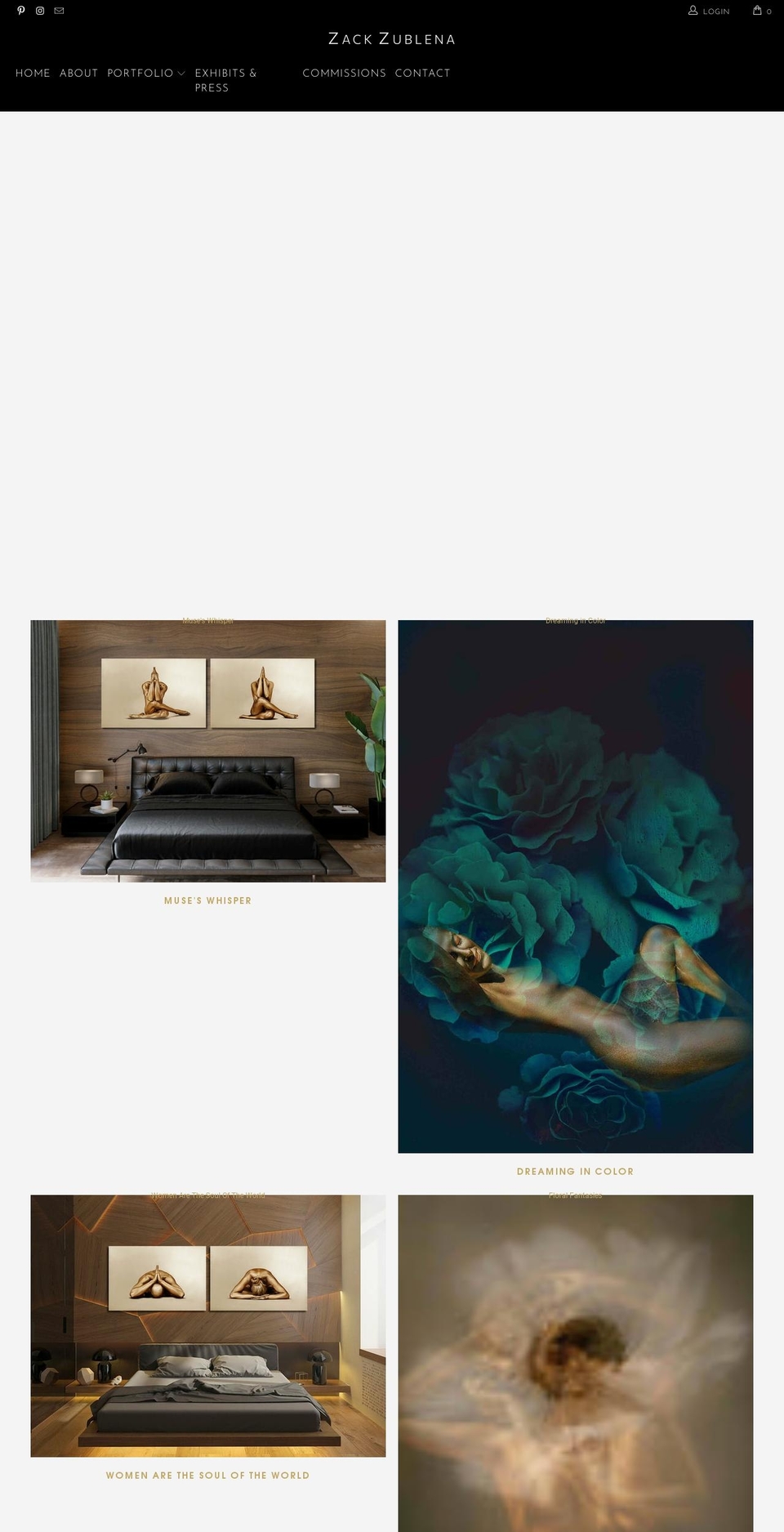 zzgallery.com shopify website screenshot